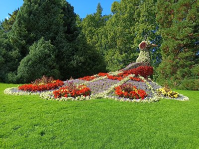 Holiday apartment Sandra with balcony near Lake Constance & Pfänder - Environment photo 29