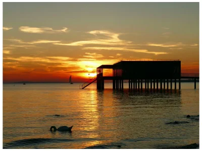 Holiday apartment Sandra with balcony near Lake Constance & Pfänder - Environment photo 30