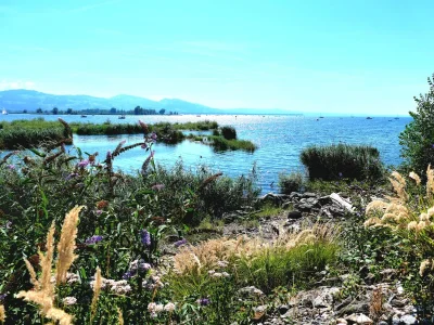 Holiday apartment Sandra with balcony near Lake Constance & Pfänder - Environment photo 31