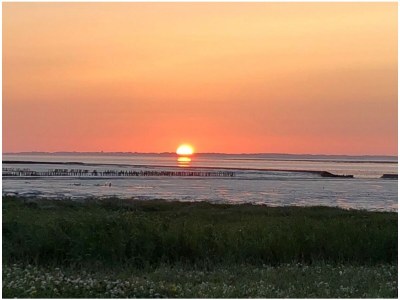 Holiday apartment Austernfischer mit Sielblick - Environment photo 19