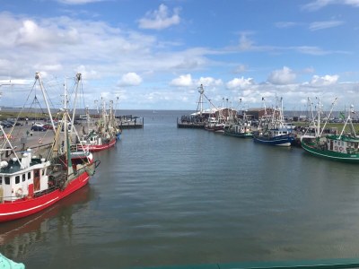 Holiday apartment Austernfischer mit Sielblick - Environment photo 21