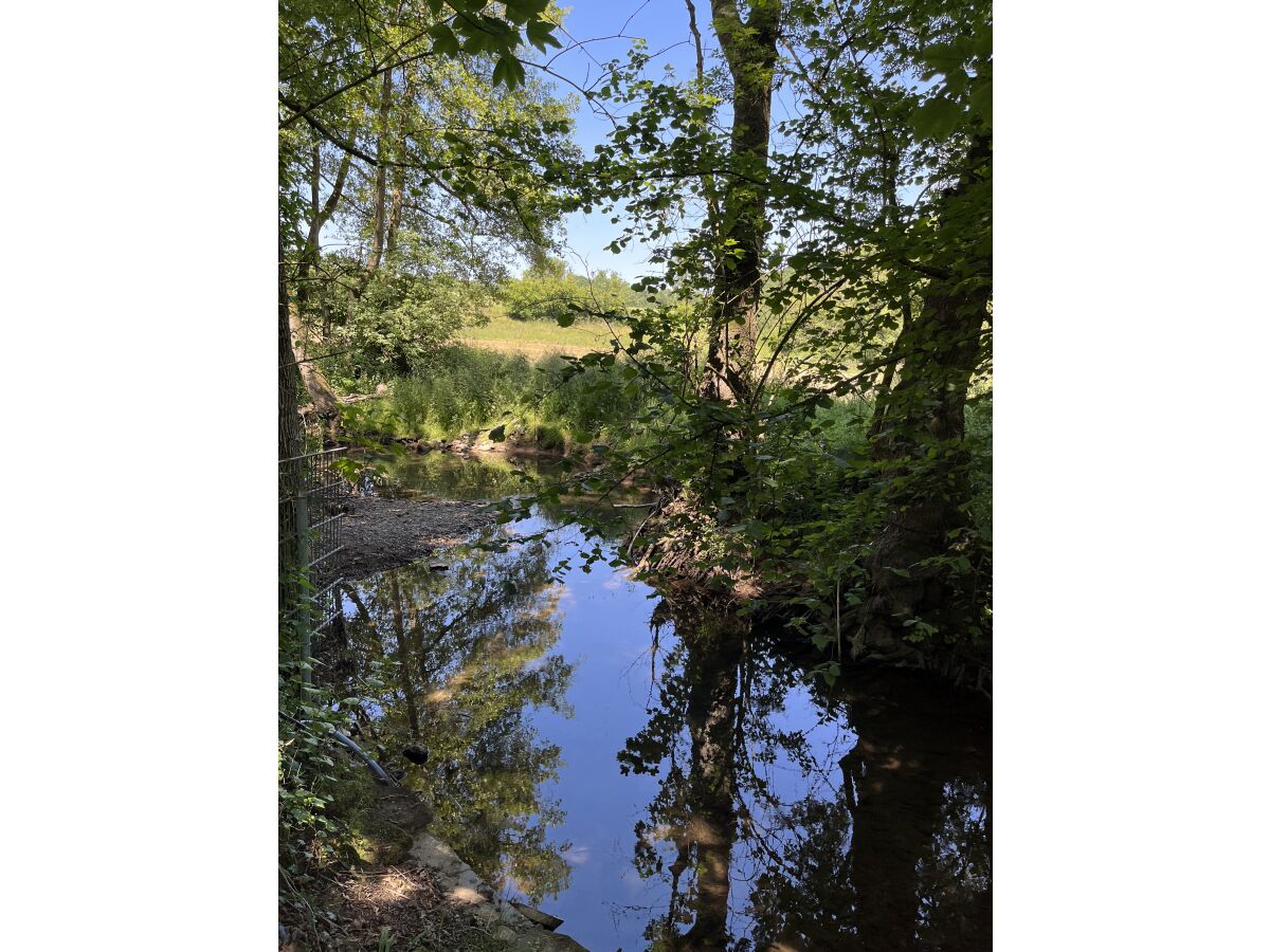 Holiday apartment Inde-Land-Oase - Outdoor photo 5