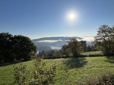 Holiday apartment Inde-Land-Oase - Environment photo 24