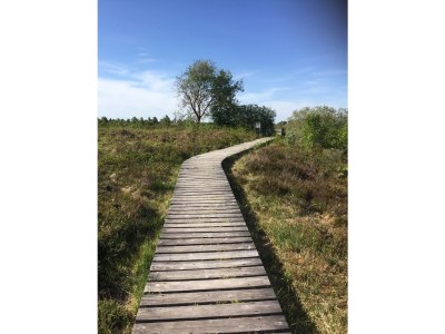 Holiday apartment Inde-Land-Oase - Environment photo 34