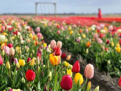 Holiday house Sunny South - Environment photo 21