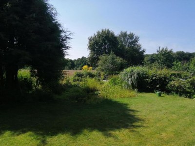 Holiday park Restyled Holiday Home Near Nordhorn - Environment photo 18