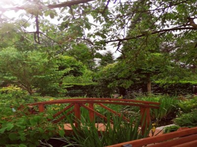 Holiday park Restyled Holiday Home Near Nordhorn - Environment photo 19