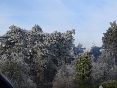 Holiday park Holiday Home in Bad Bentheim near Dutch Border - Environment photo 25