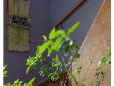 Holiday apartment Magnolia I - Features photo 17