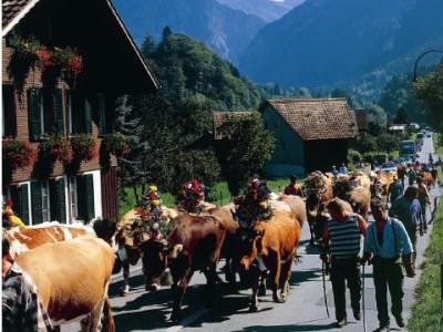 Holiday apartment Magnolia I - Environment photo 19