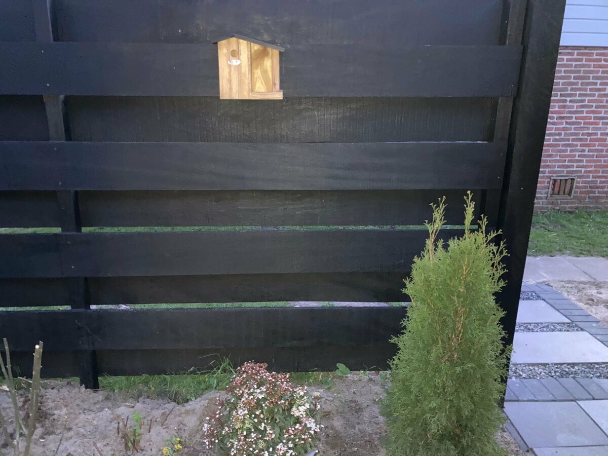 Holiday house Ferienhaus Noordwijkerhout am Strand - Outdoor photo 4