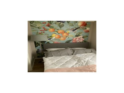 Holiday house Ferienhaus Noordwijkerhout am Strand - Features photo 22