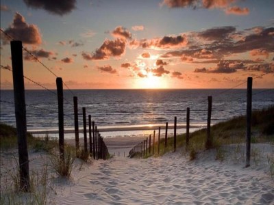 Holiday house Ferienhaus Noordwijkerhout am Strand - Environment photo 25