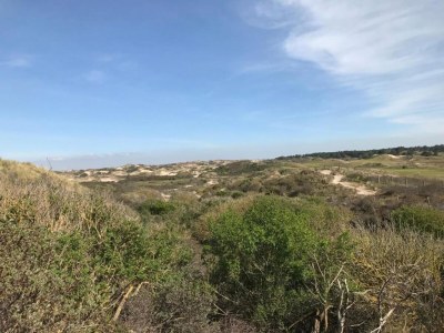 Holiday house Ferienhaus Noordwijkerhout am Strand - Environment photo 27