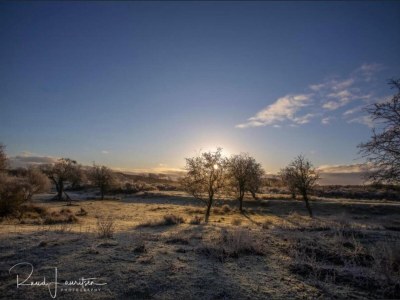 Holiday house Ferienhaus Noordwijkerhout am Strand - Environment photo 29