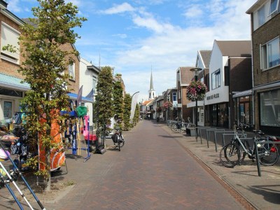 Holiday house Ferienhaus Noordwijkerhout am Strand - Environment photo 36