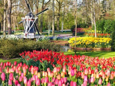 Holiday house Ferienhaus Noordwijkerhout am Strand - Environment photo 37