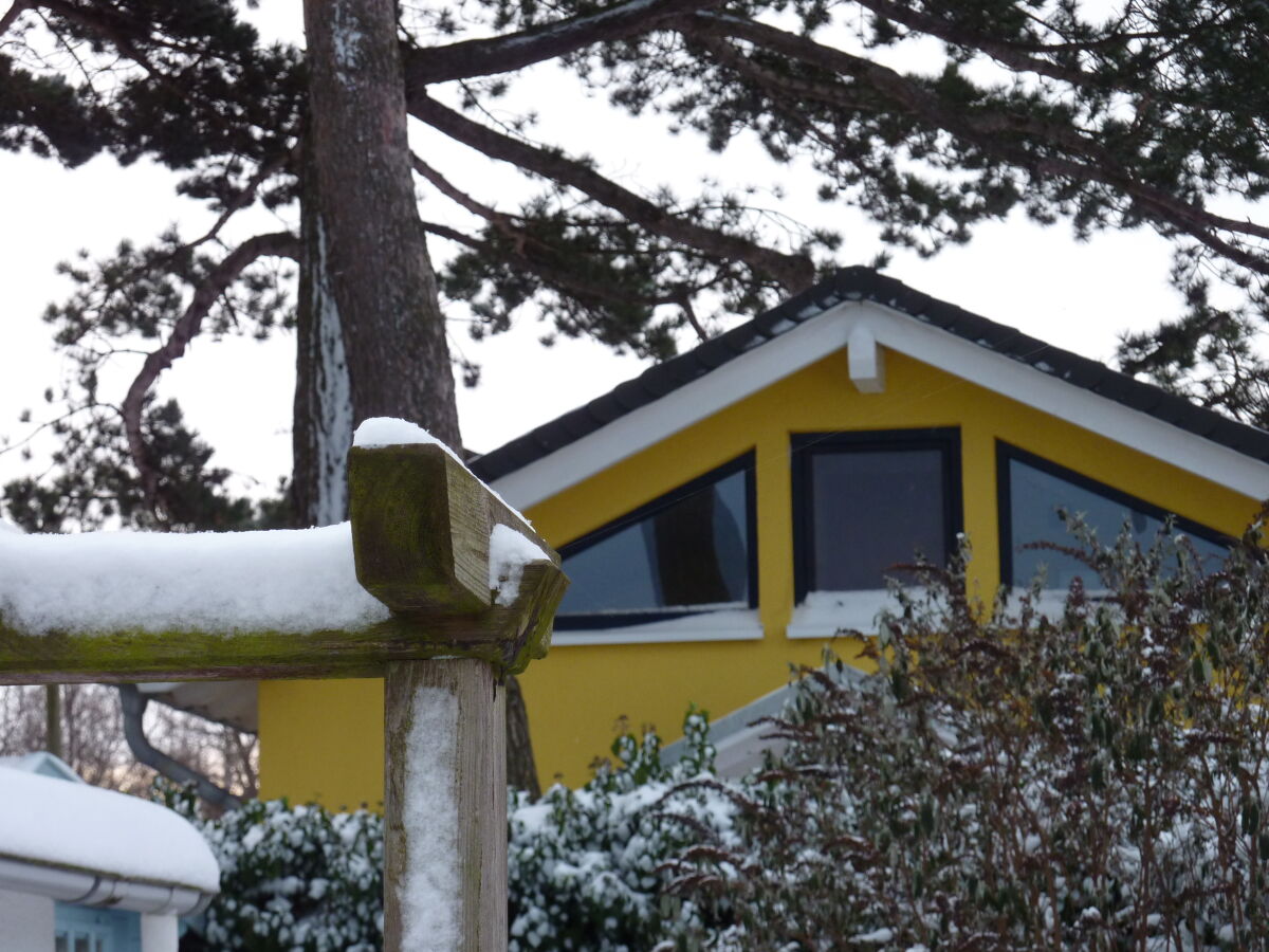 Holiday house Dietrich - Outdoor photo 3