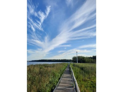 Holiday house Dietrich - Environment photo 23