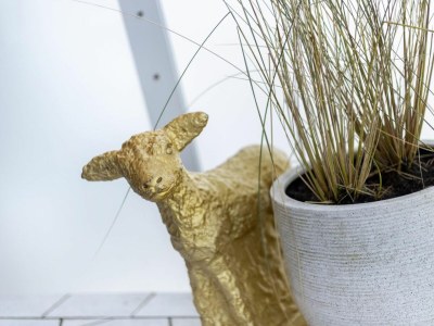 Apartment Ferienwohnung Sunset Loft - Outdoor photo 22