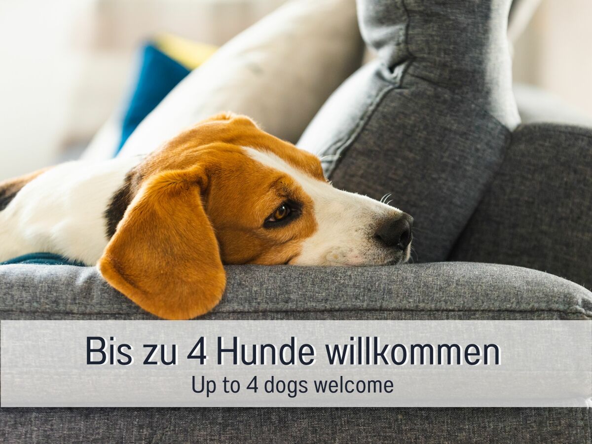 Holiday house Wellnessoase Dieboldsberg 1 - Outdoor photo 3