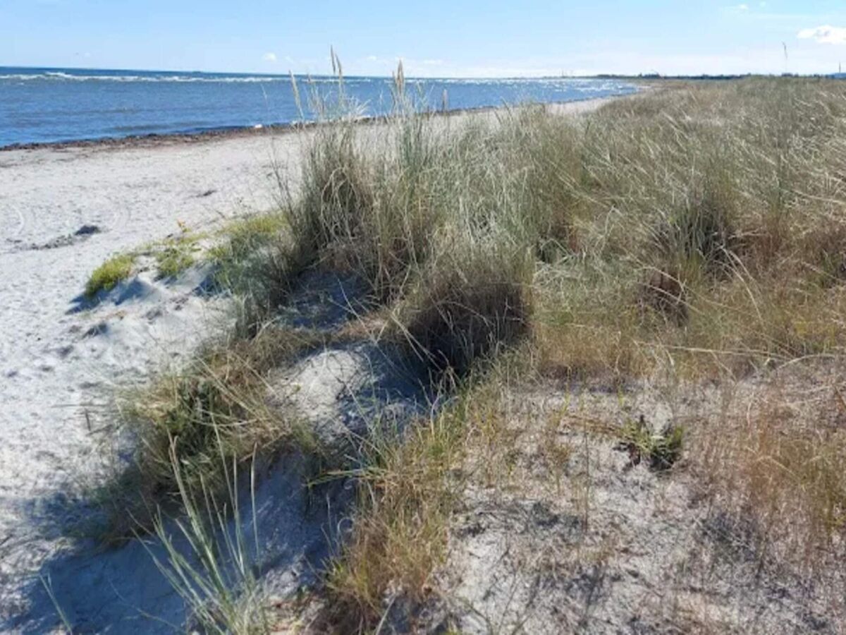 Holiday house 7 person holiday home in Jerup-By Traum - Outdoor photo 4