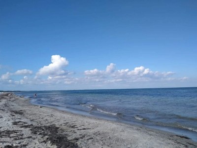 Holiday house Ferienhaus für 6 Personen in Væggerløse - Outdoor photo 32