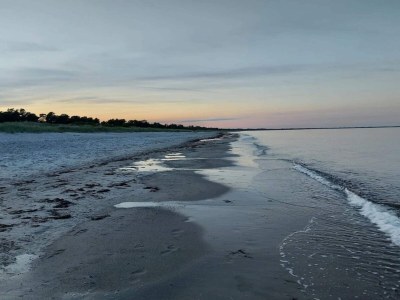 Holiday house Ferienhaus für 6 Personen in Væggerløse - Outdoor photo 33