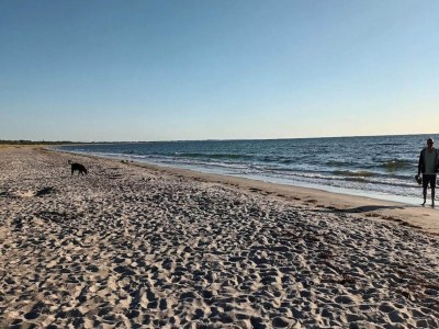 Holiday house Ferienhaus für 6 Personen in Væggerløse - Outdoor photo 47