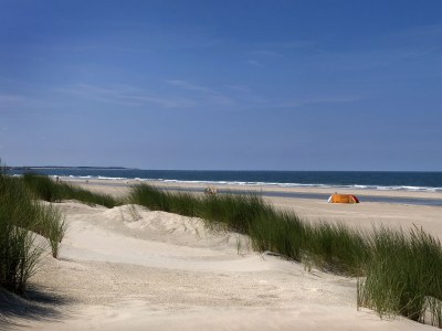 Chalet Waddenlodge Living - Environment photo 11