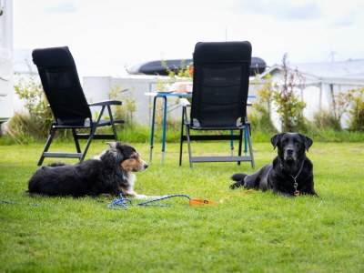 Chalet Waddenlodge Living - Environment photo 15