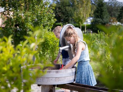 Chalet Waddenlodge Living - Environment photo 16