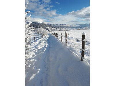 bio farm Restlhof - Outdoor photo 9