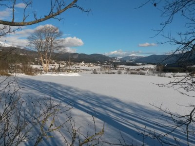 bio farm Restlhof - Outdoor photo 10