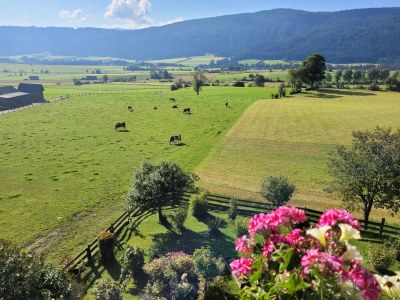 bio farm Restlhof - Features photo 23