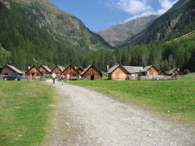 bio farm Restlhof - Environment photo 24