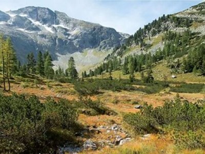 bio farm Restlhof - Environment photo 25