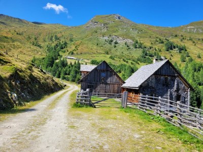 bio farm Restlhof - Environment photo 28