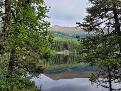 bio farm Restlhof - Environment photo 29