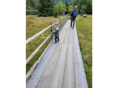 bio farm Restlhof - Environment photo 30