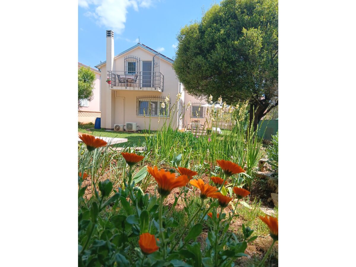 Holiday apartment Apartment Markus - Outdoor photo 4