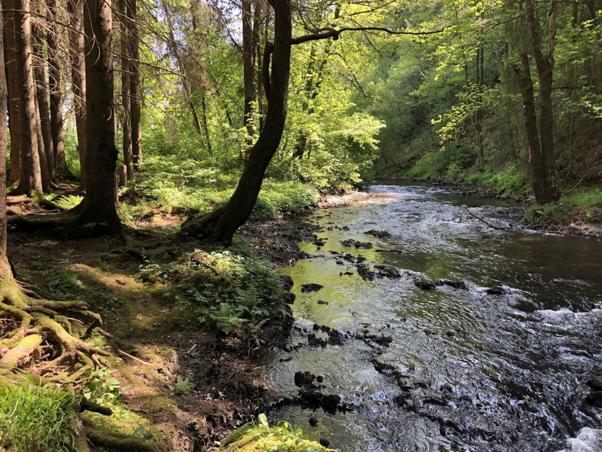 Holiday house Ardennes villa with riverside garden and views - Outdoor photo 3