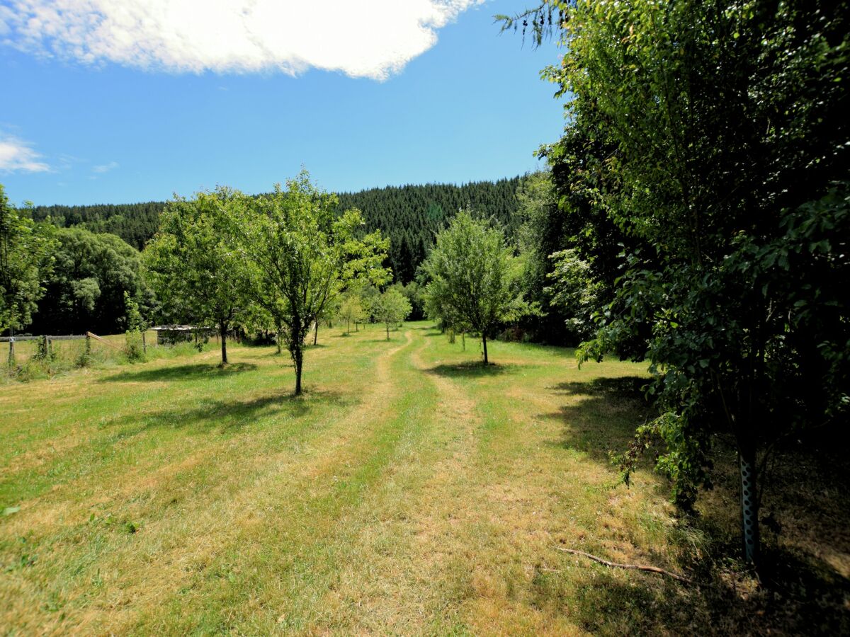 Holiday house Ardennes villa with riverside garden and views - Outdoor photo 4