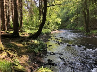 Holiday house Ardennes villa with riverside garden and views - Outdoor photo 3