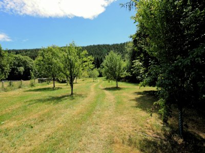 Holiday house Ardennes villa with riverside garden and views - Outdoor photo 4