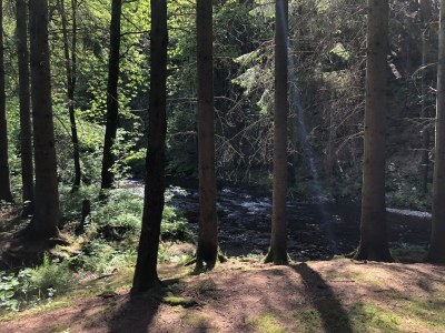 Holiday house Ardennes villa with riverside garden and views - Outdoor photo 8