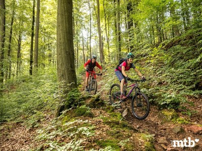 Holiday house Ardennes villa with riverside garden and views - Environment photo 31