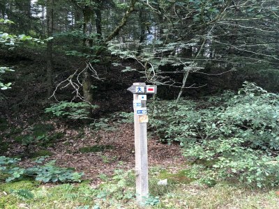 Holiday house Ardennes villa with riverside garden and views - Environment photo 33