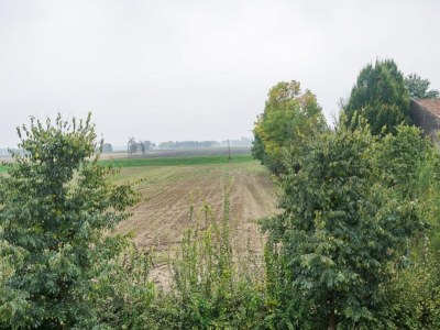 Cottage Wohnung nahe Cremona im historischen Kloster - Environment photo 26