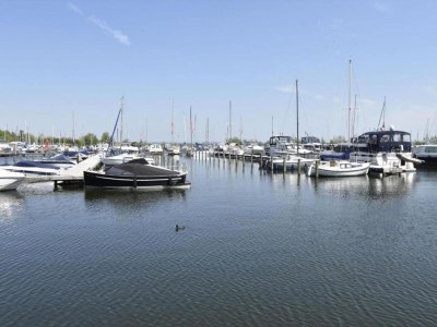 Holiday park Holiday Home in Forest with Whirlpool - Environment photo 13